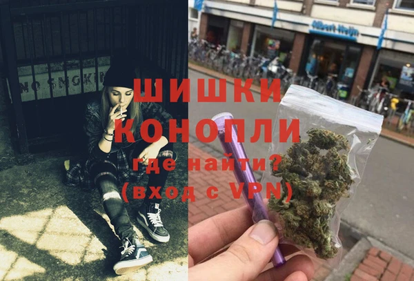 apvp Алзамай